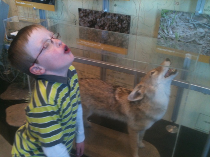Liam Howling with the Coyote